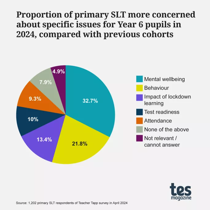 The issues that primary school SLT are concerned about