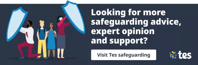 Tes Safeguarding banner ad