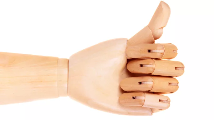 Could this be the model for MAT inspection?