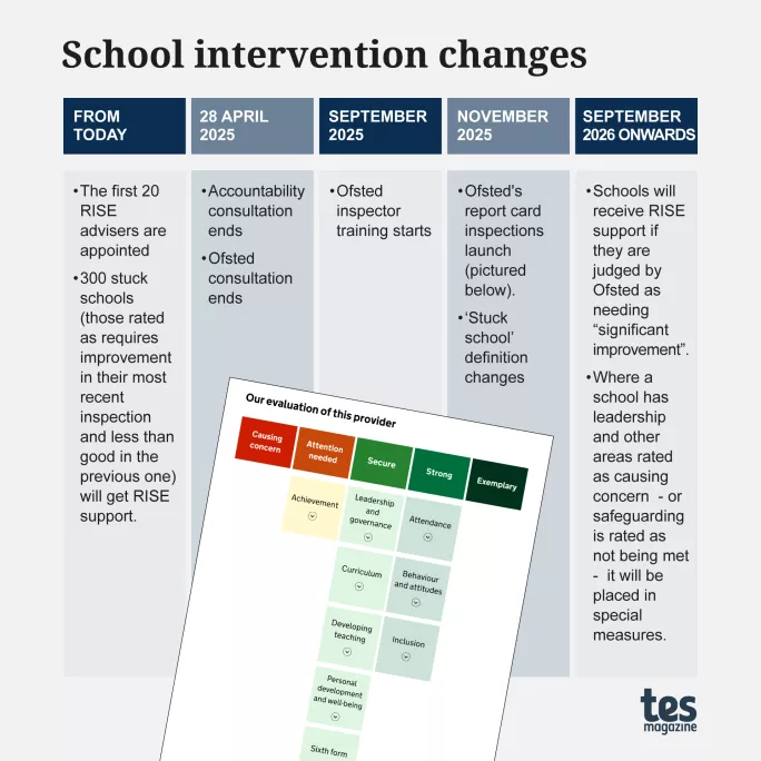 Timeline for the introduction of RISE school improvement teams