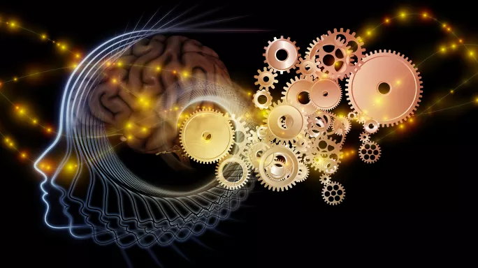 Why subjects need their own take on the ‘cog-sci’ revolution