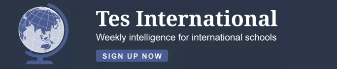 Tes International newsletter