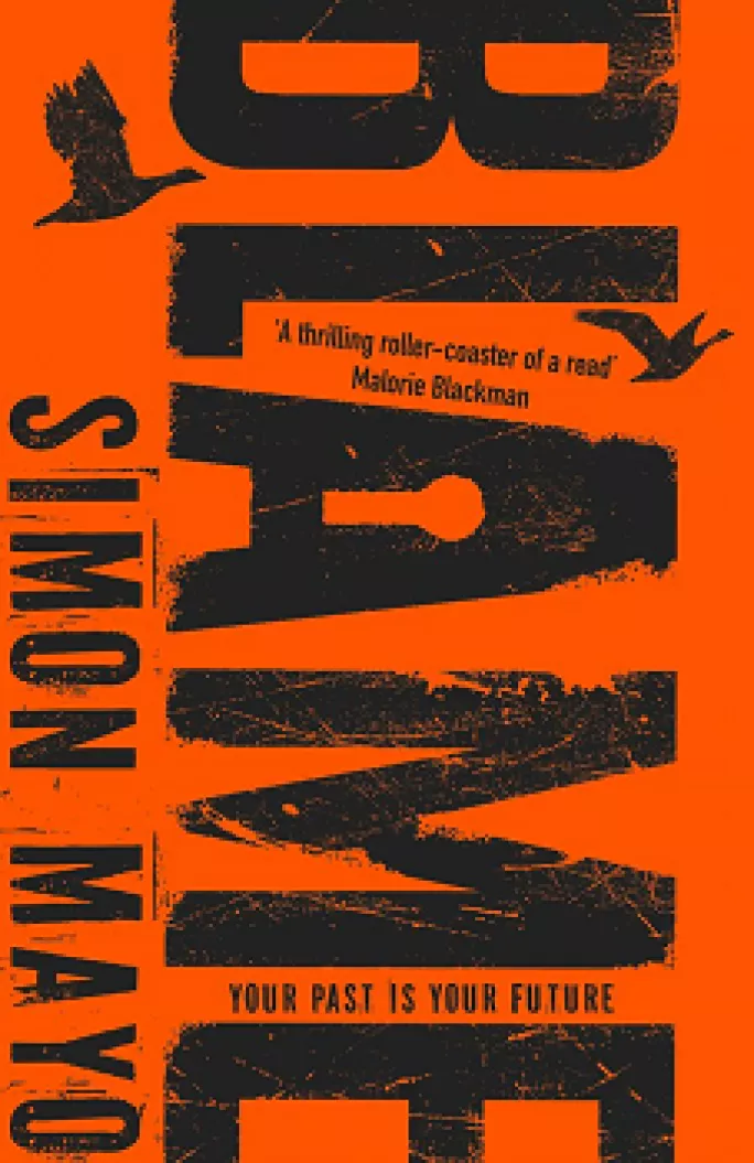 Simon Mayo, Blame, book review