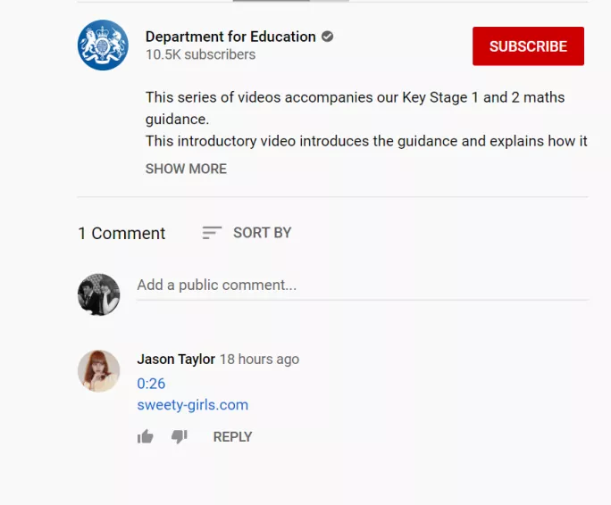 Screenshot of inapprioriate comment under DfE video
