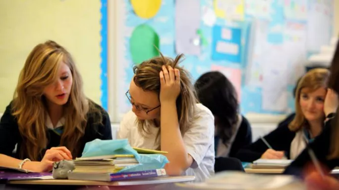 Secondary school pupils 