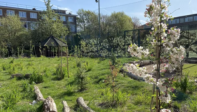 Forest school 