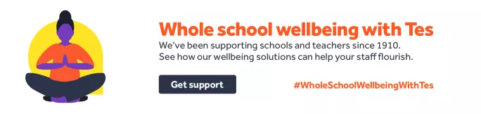 Whole school wellbeing with Tes