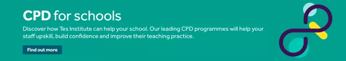 Tes Institue CPD for Schools