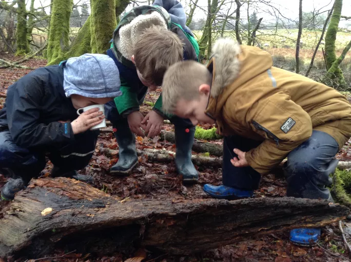 outdoor learning education attainment Inveraray Primary School