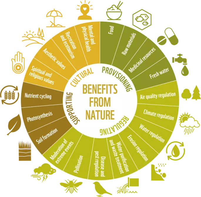 WWF Living Planet Report: benefits about nature
