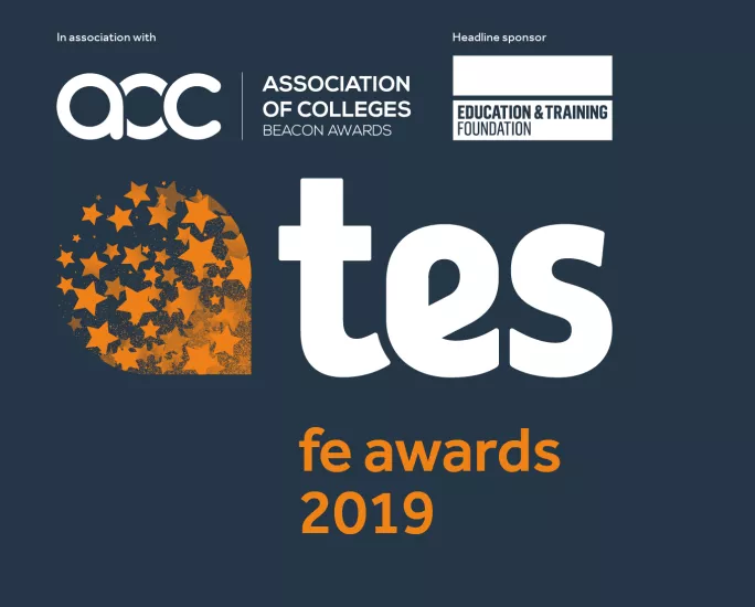 Tes FE Awards full logo 2019