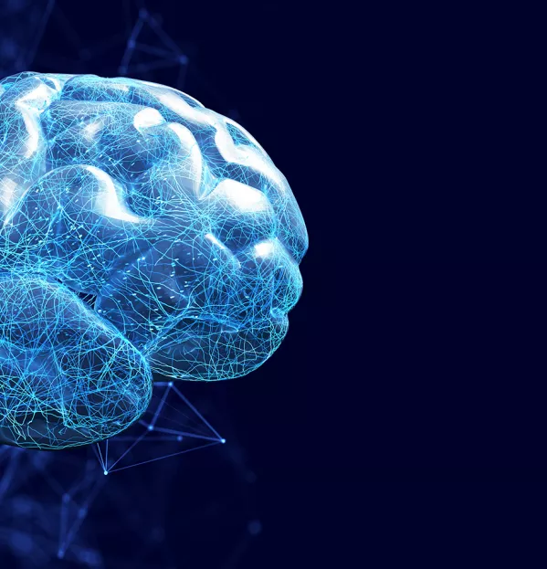 Dan Willingham on memory, phonics and metacognition