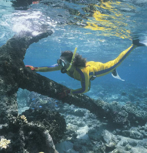 Woman diving with anchor