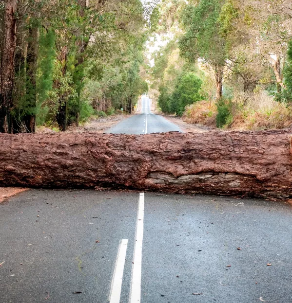 Blocked road