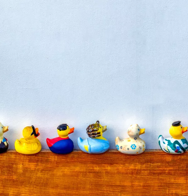 Ducks in a row