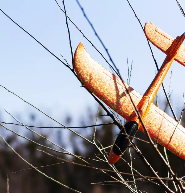 The error code: can embracing errors really boost outcomes?
