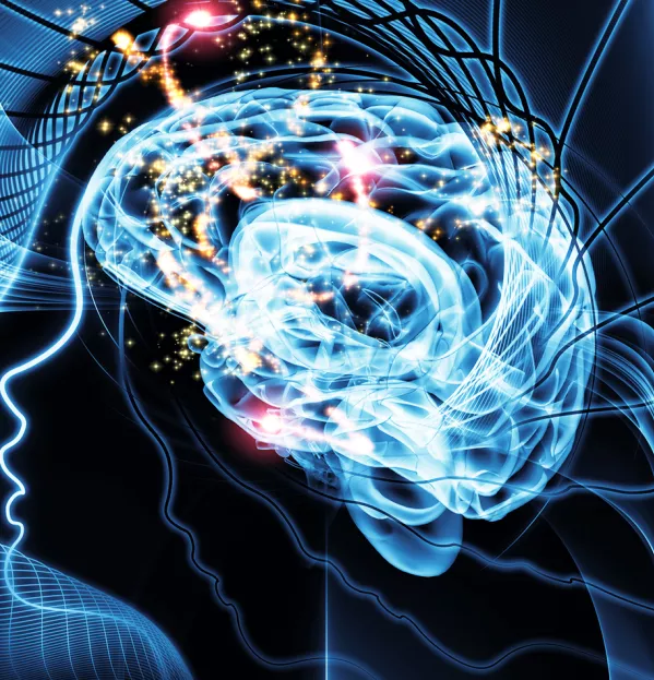 Why subjects need their own take on the ‘cog-sci’ revolution