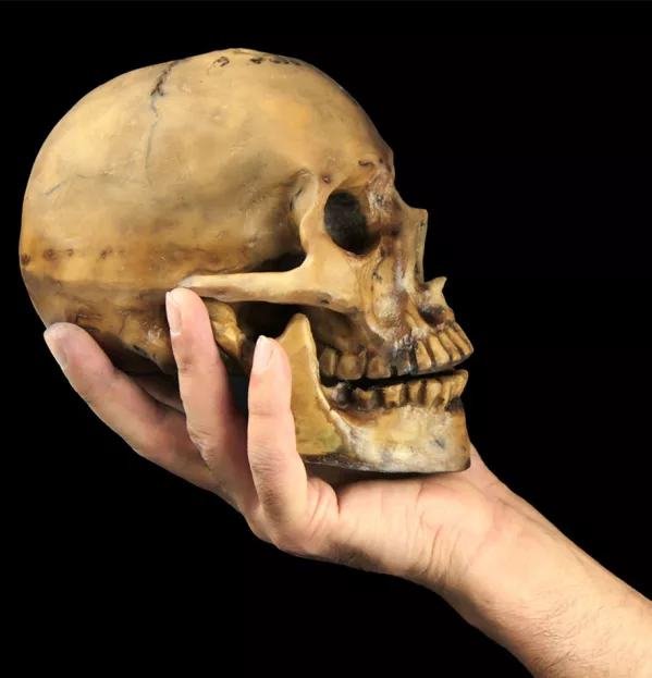 Hand holding skull English Literature