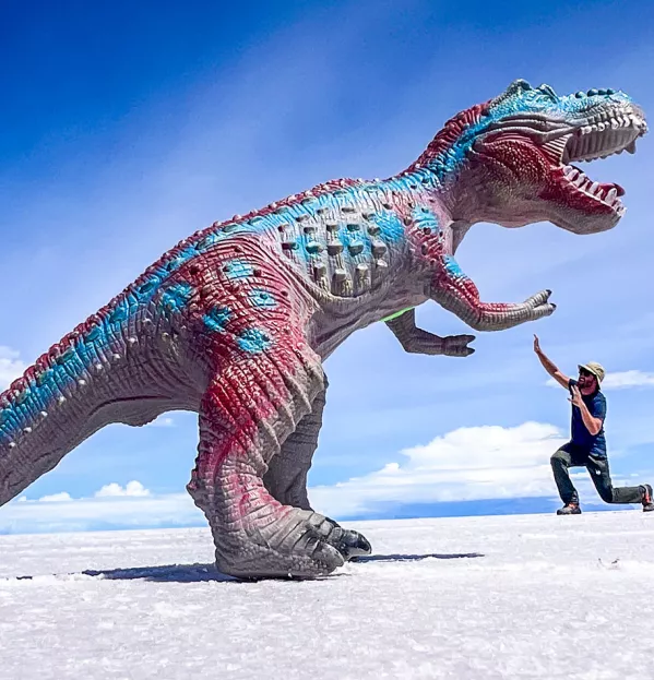 spatial skills dinosaur