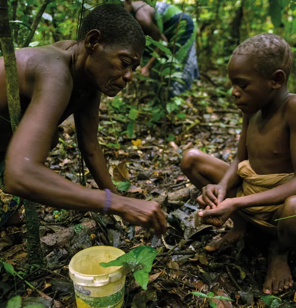 What Hunter-gatherers Can Teach Us About Learning