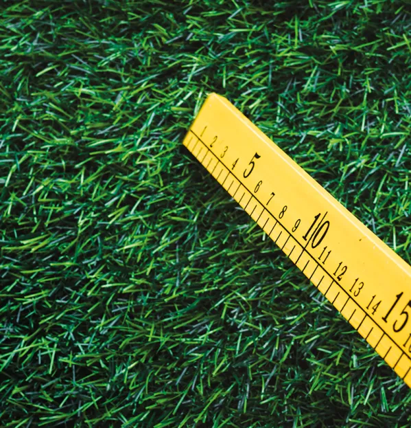 Measuring Grass