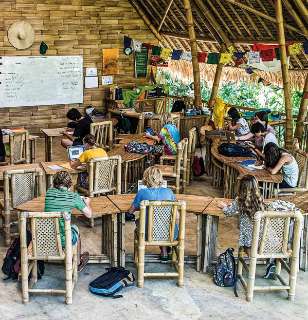 Welcome To The Jungle School With Wellbeing At Its Heart