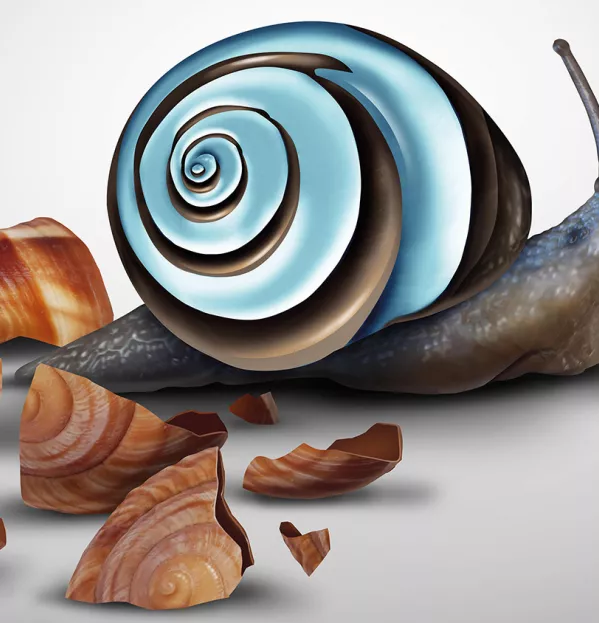 A Snail Shedding Its Old Shell For A Modern One – School Management Information Systems (mis)
