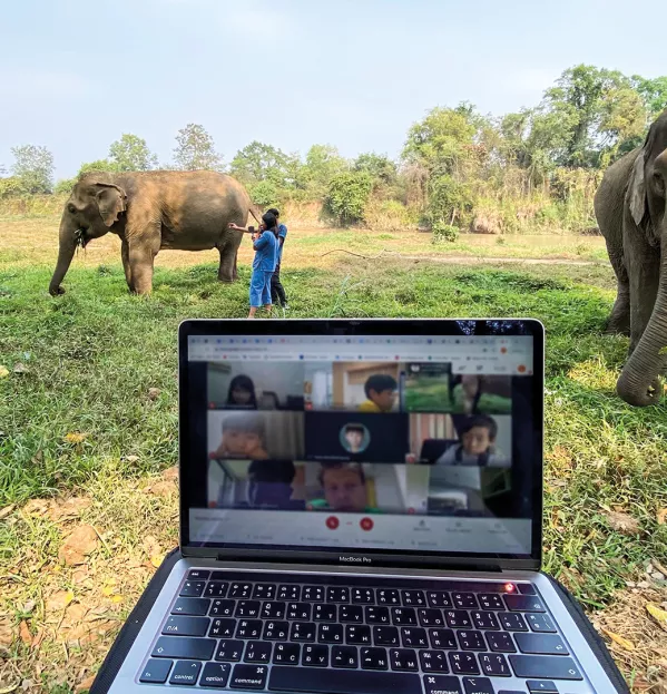 Covid & Online Learning: Sending The Whole School On A Virtual Elephant Safari School Trip