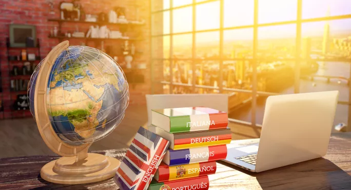 language books and globe in the sun on a table