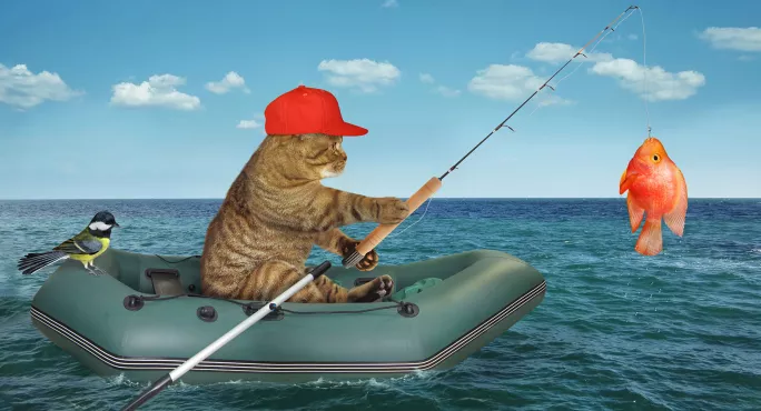 Cat, fishing