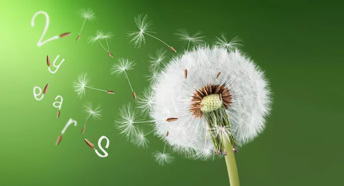Dandelion