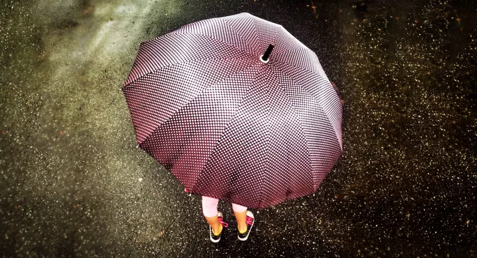 Umbrella