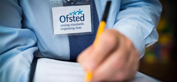 Ofsted has said primary schools need more specialist help to meet the needs of pupils with additional needs.