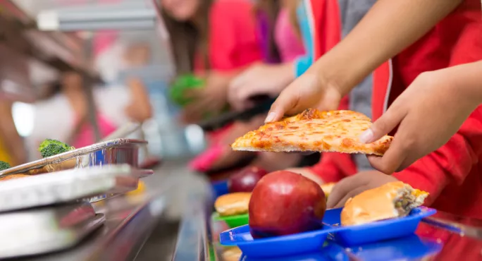 Trays with school meals 