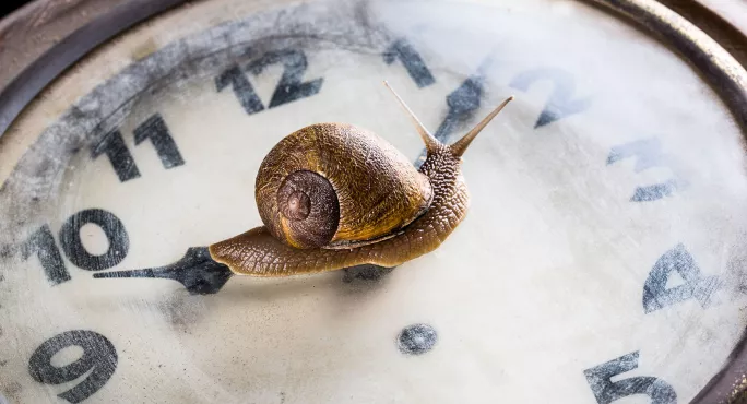 Snail on clock