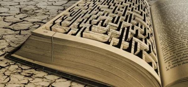Book maze