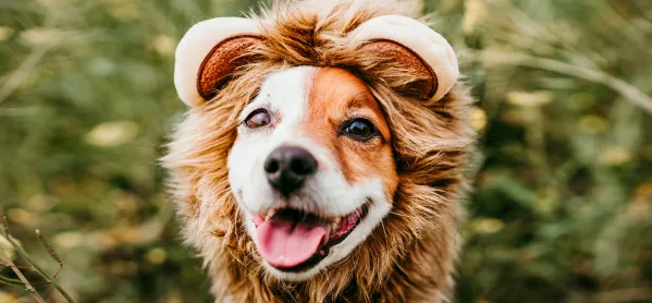 Dog as Lion