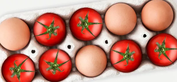 Tomatos and eggs