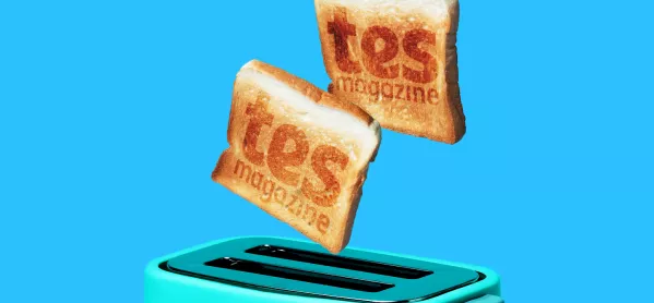 Tes Daily newsletter - toast