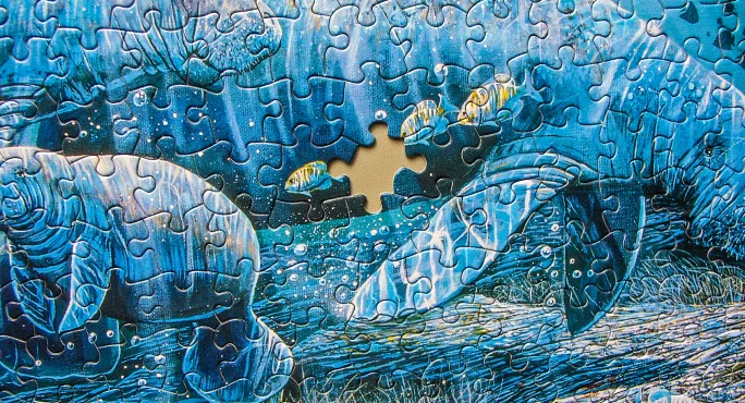 Missing jigsaw