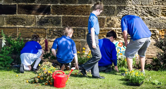 School gardening