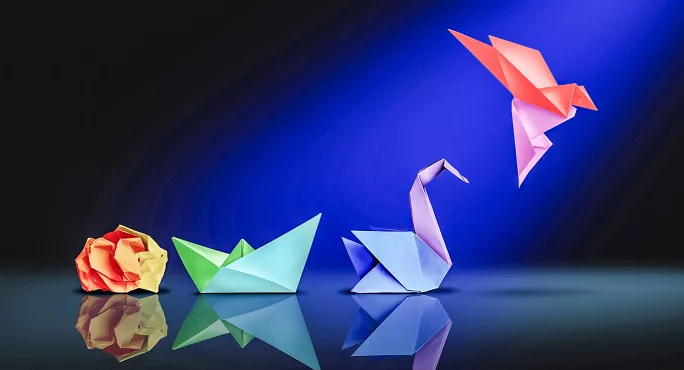 Origami evolving