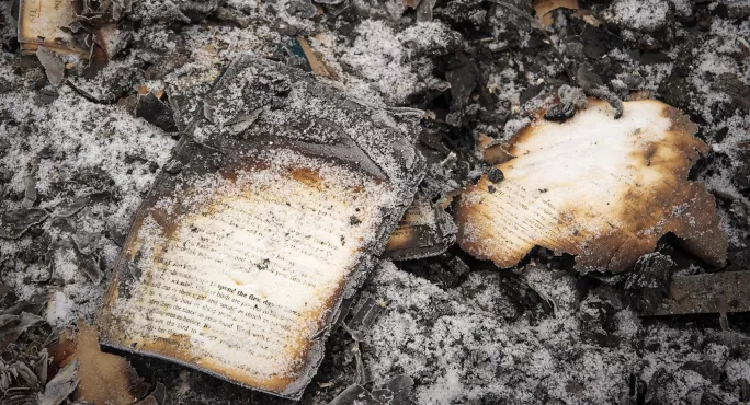 books to ashes