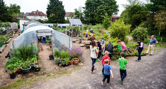 community allotments