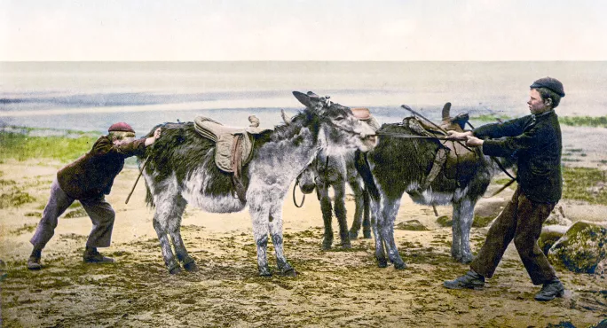 Two boys with a stubborn mule