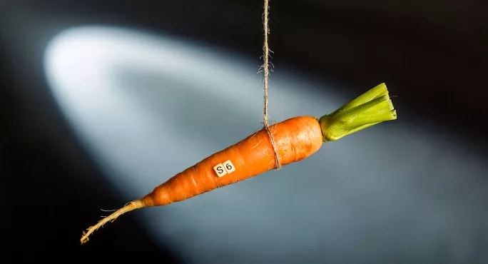 Carrot on string