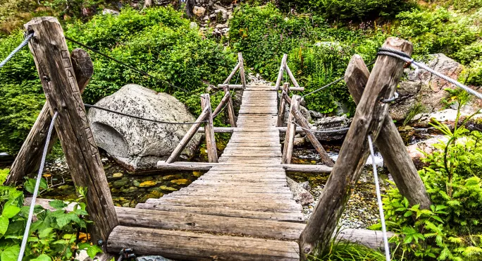 Wooden footbridge across creak