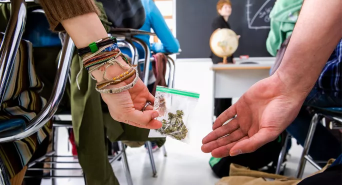 cannabis in school