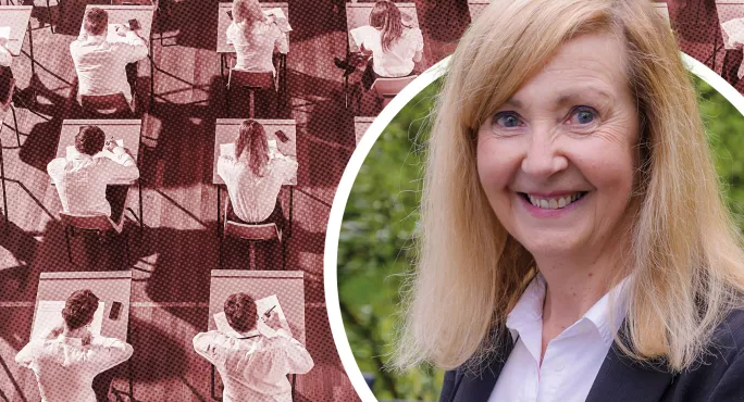 Professor Louise  Hayward