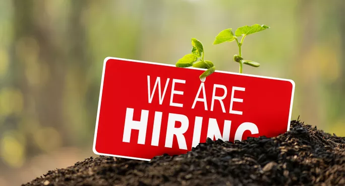 Job vacancy sign in the dirt